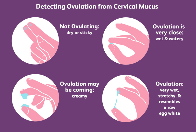 Cervical Mucus Treatment in Jaipur